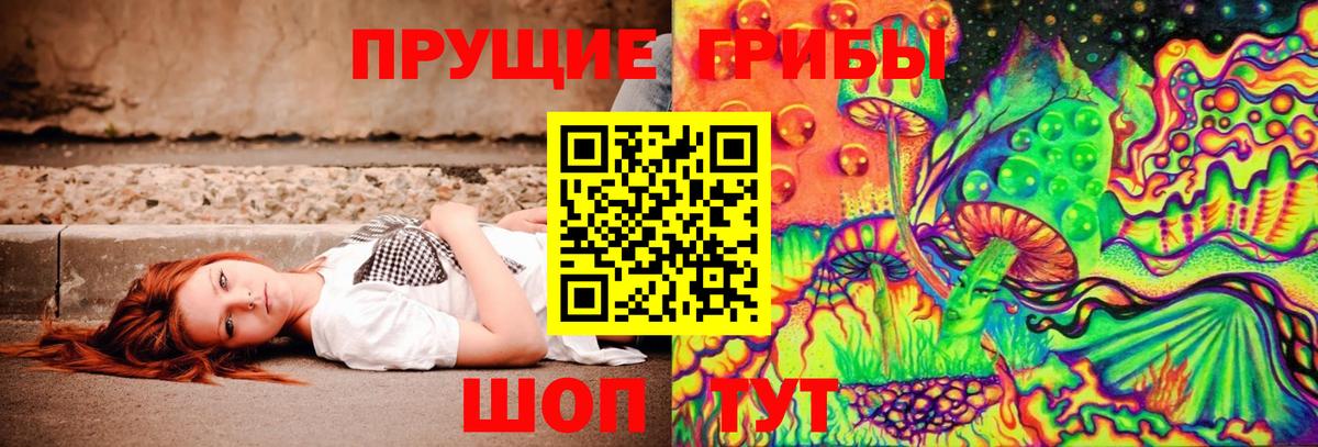 Галлюциногенные грибы Psilocybe Кольчугино