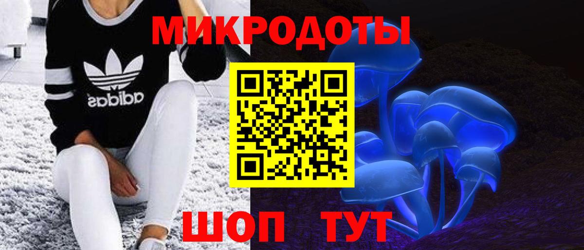 Псилоцибиновые грибы Psilocybine cubensis  Вход с VPN  Псилоцибиновые грибы прущие грибы  Кольчугино 